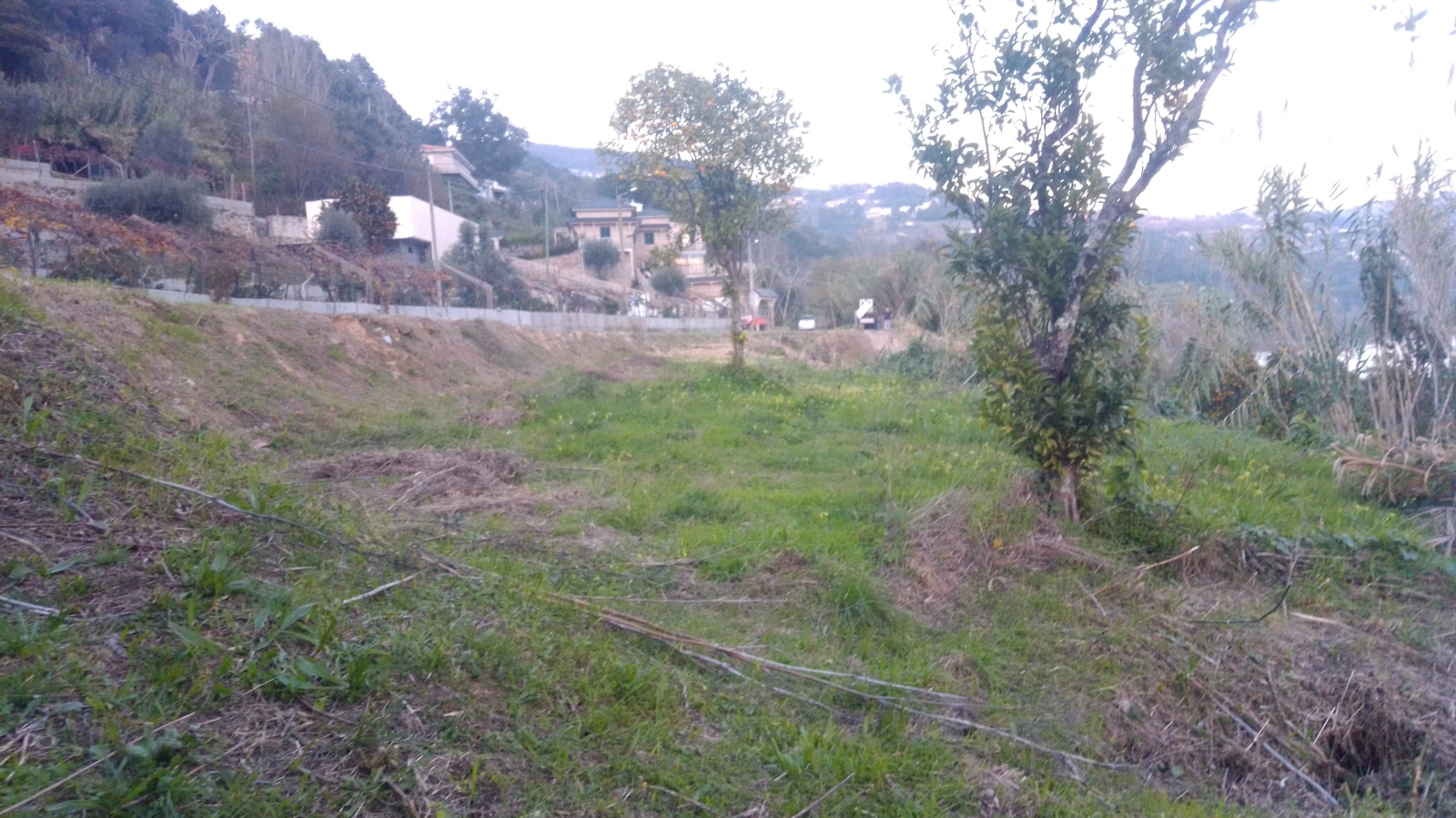 img-20201202-165851jpg