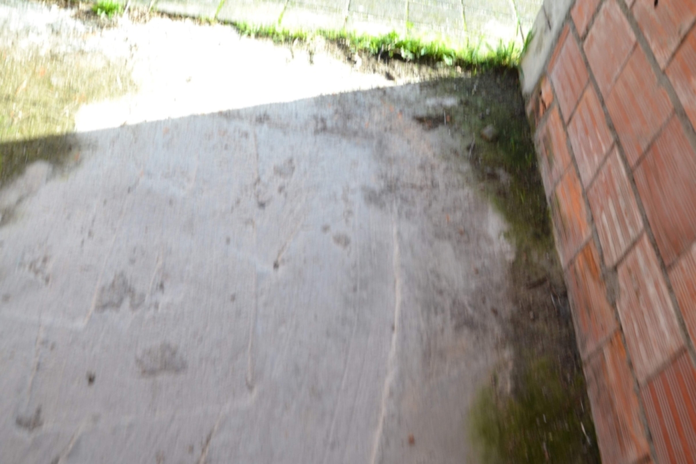 dsc-0121jpg