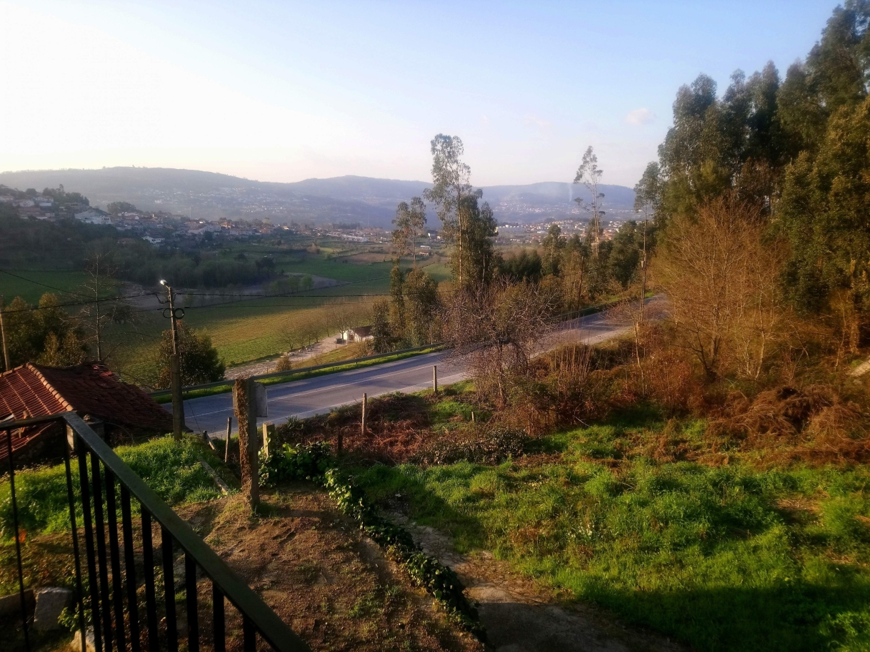 dsc-3992jpg