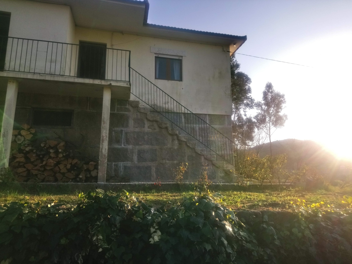 dsc-3997jpg