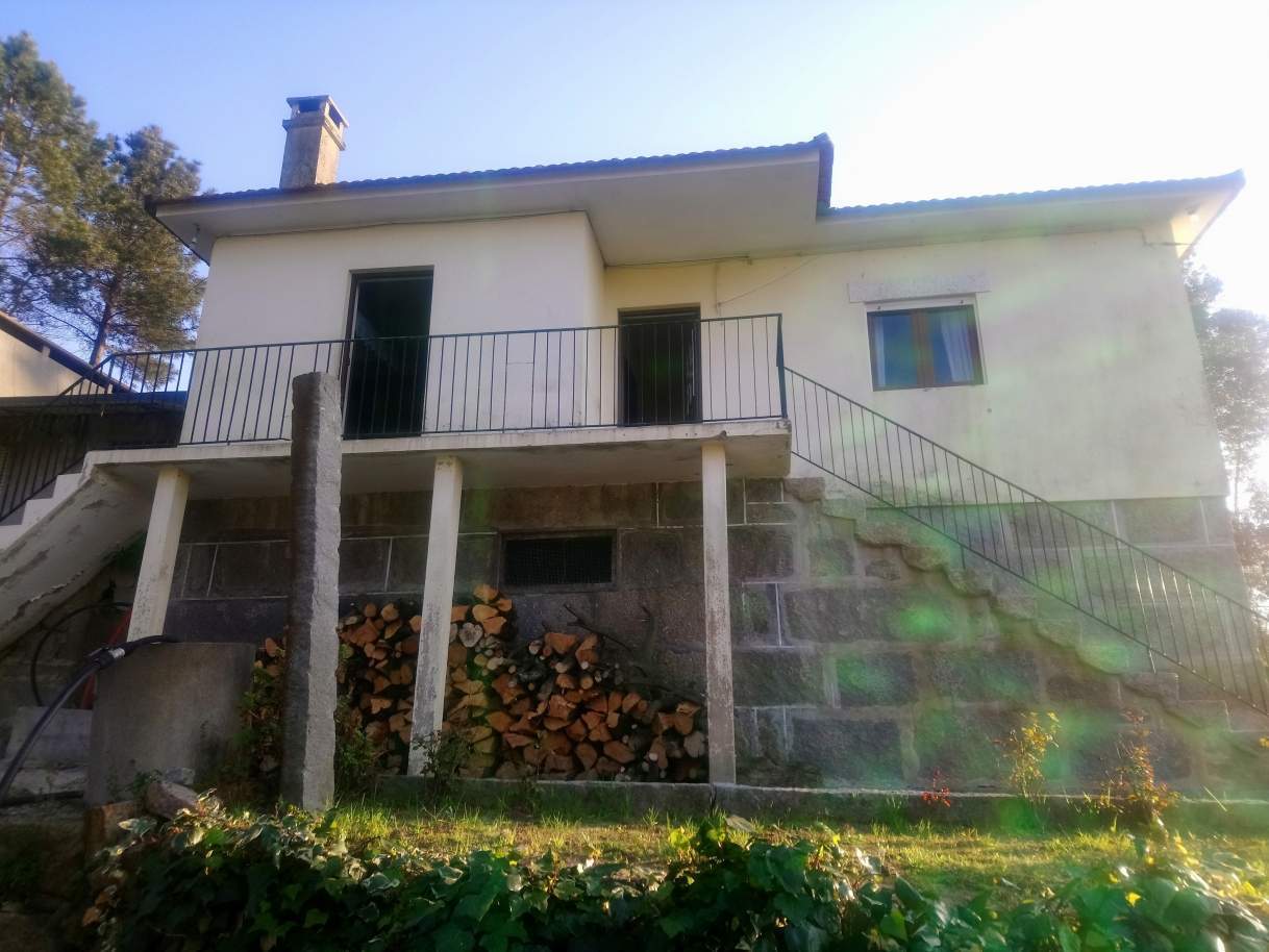 dsc-3996jpg