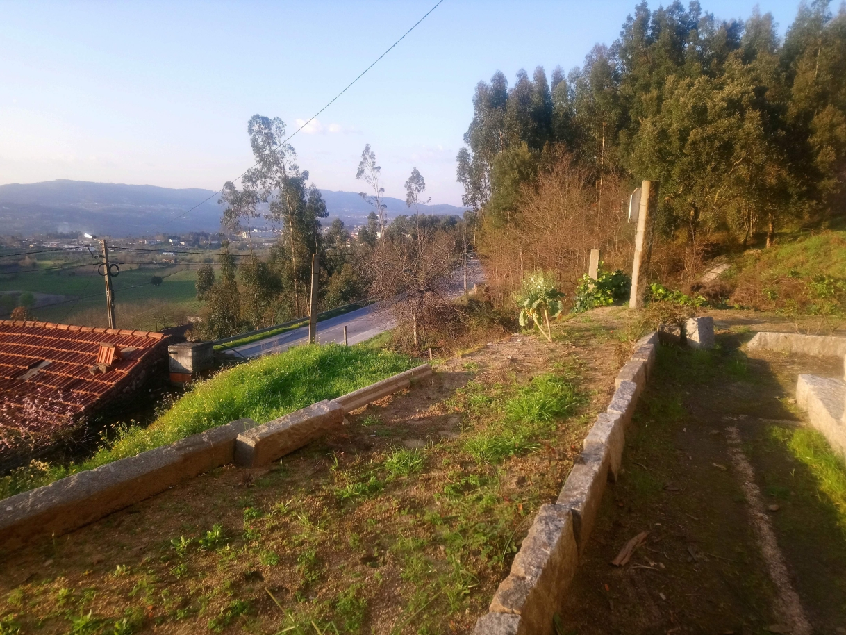 dsc-4006jpg