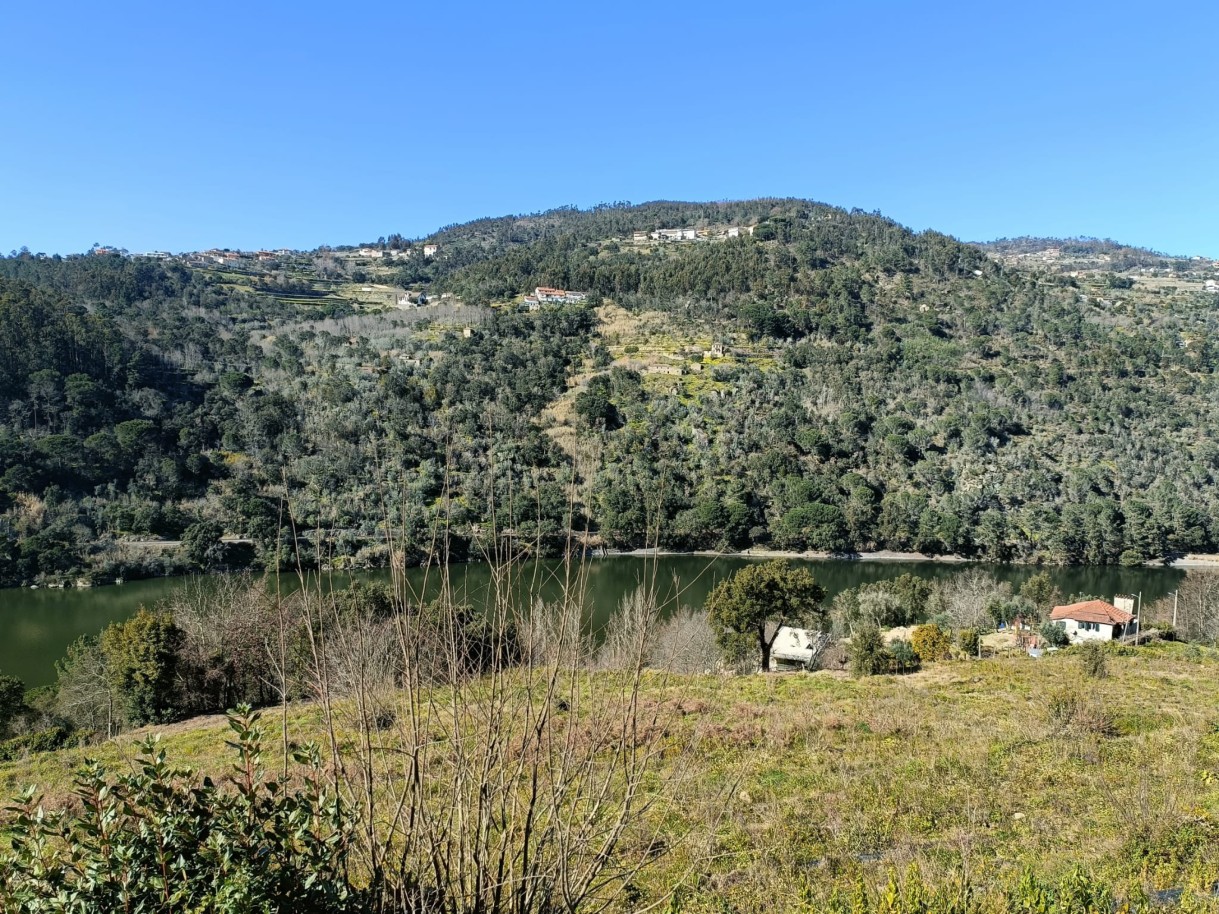 Venda Terreno, Oliveira do Douro, Cinfães