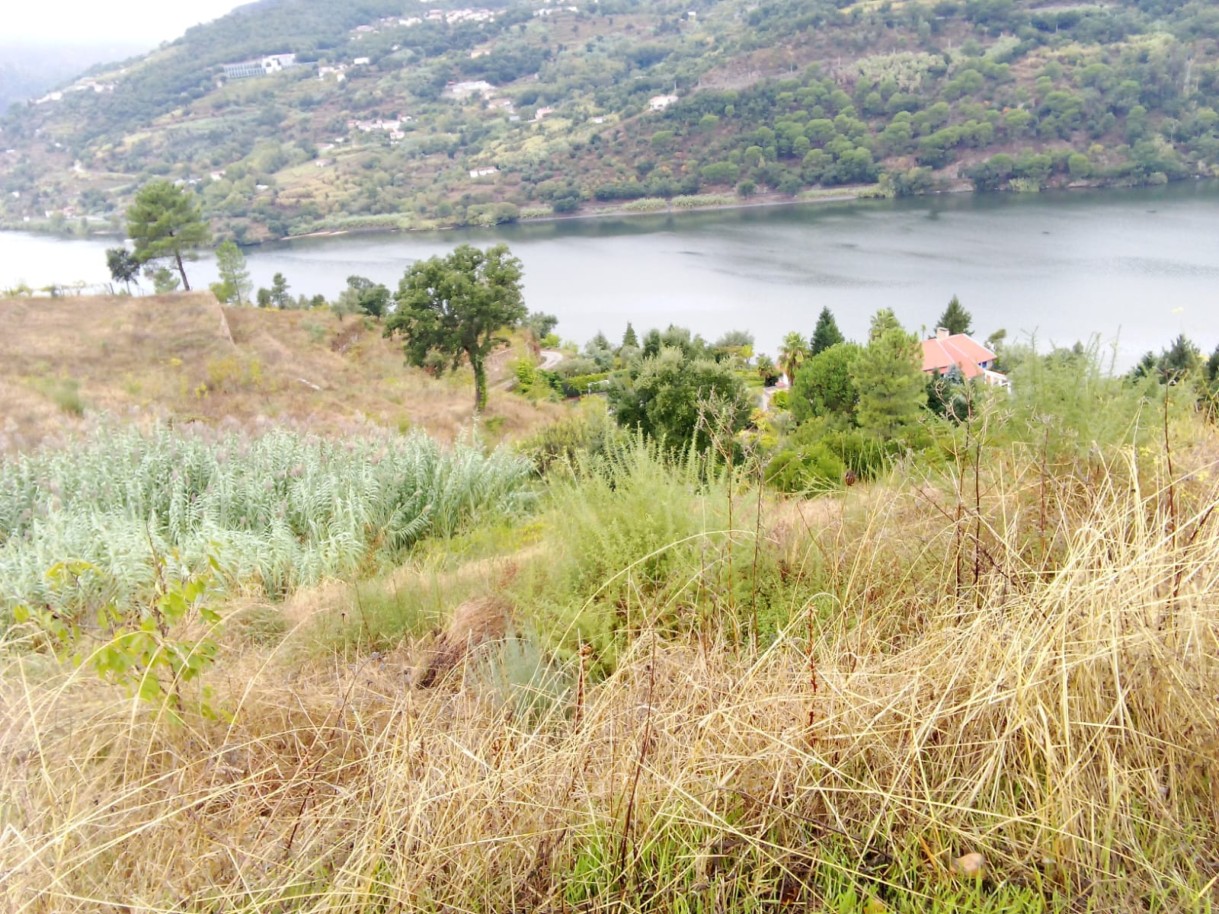 Land for sale in Resende, Portugal — €350,000