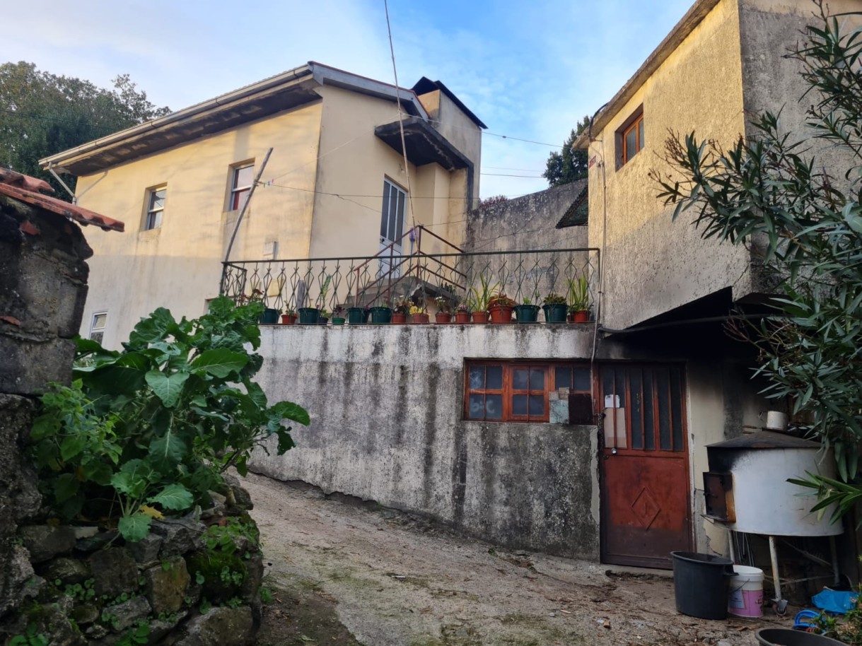 whatsapp-image-2024-11-04-at-114757-2jpeg