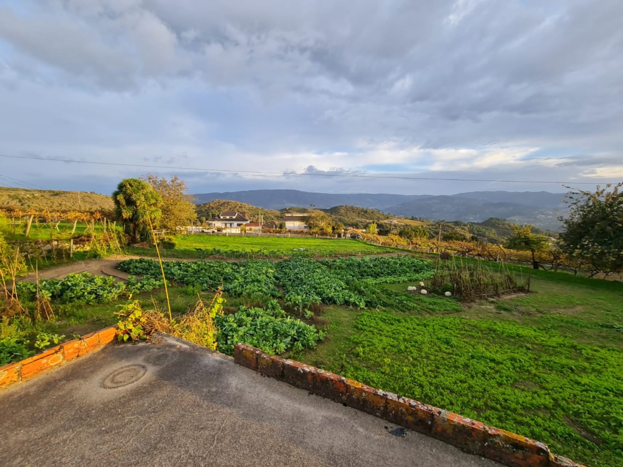 whatsapp-image-2024-11-04-at-114757-1jpeg