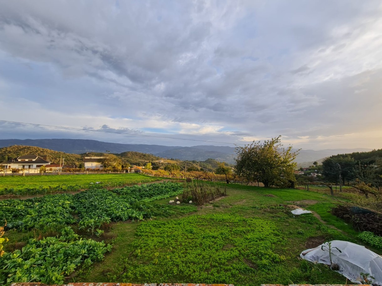 whatsapp-image-2024-11-04-at-114758-5jpeg