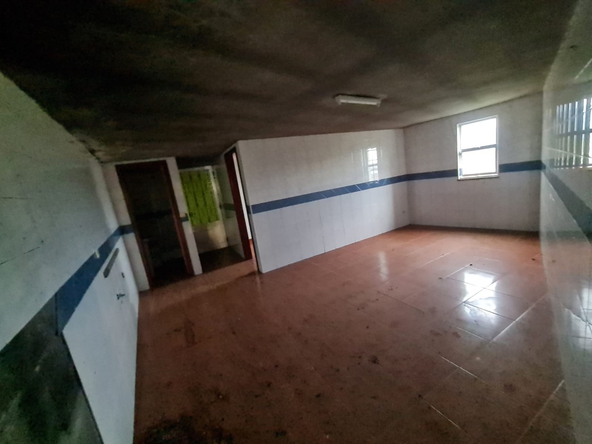 whatsapp-image-2024-11-04-at-114759-10jpeg