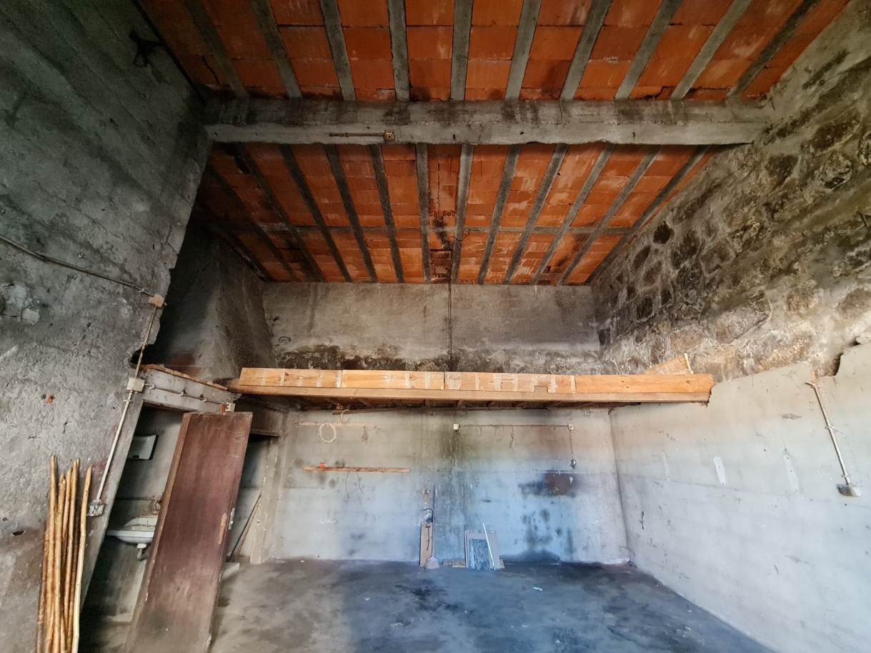 whatsapp-image-2025-03-05-at-112043jpeg