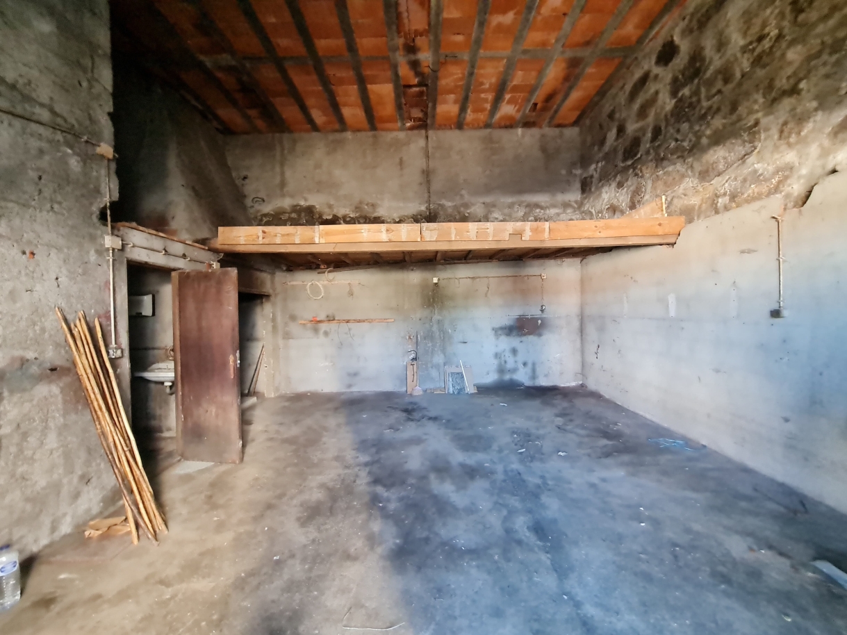 whatsapp-image-2025-03-05-at-112045jpeg