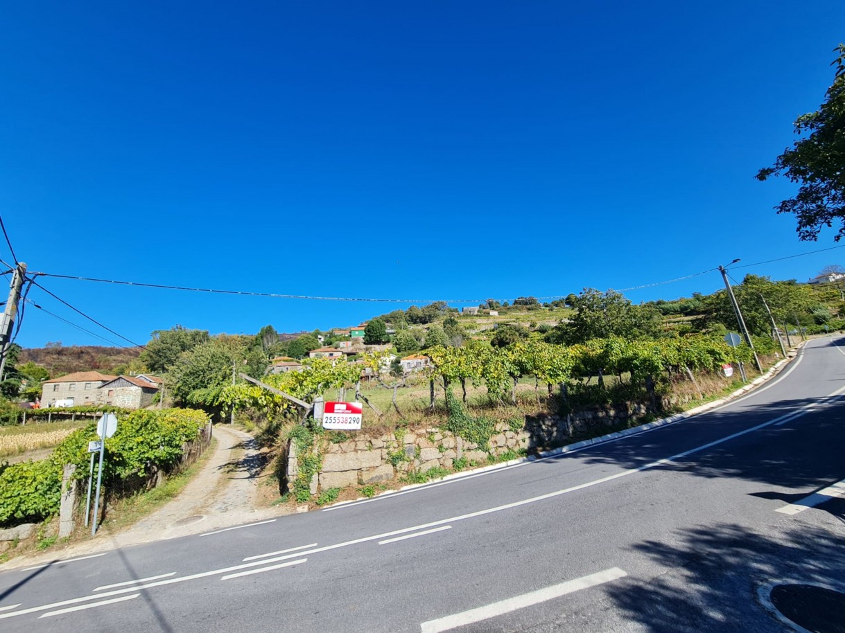 whatsapp-image-2025-10-06-at-091542jpeg