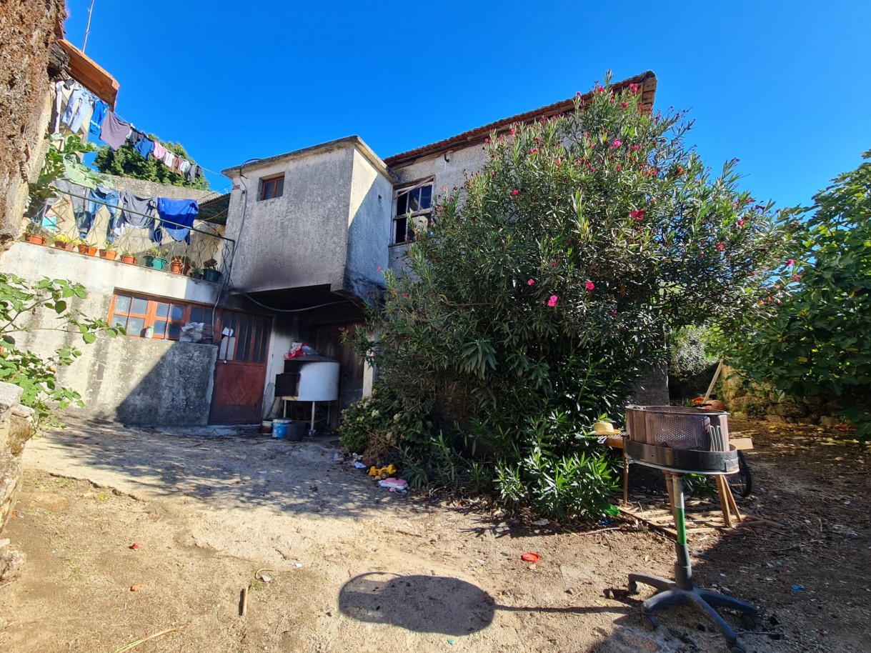 whatsapp-image-2025-10-06-at-091543-5jpeg