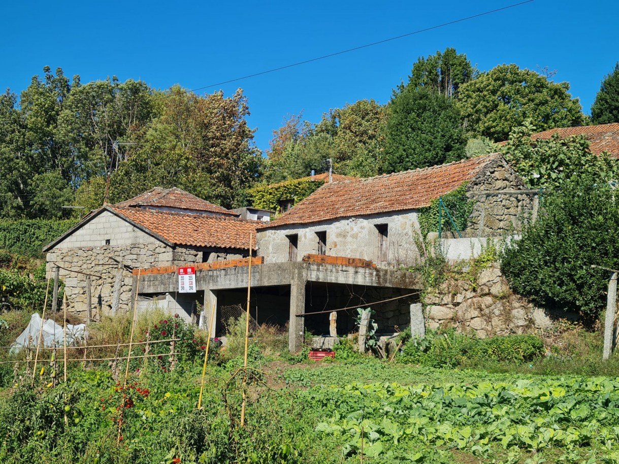 whatsapp-image-2025-10-06-at-091544-1jpeg