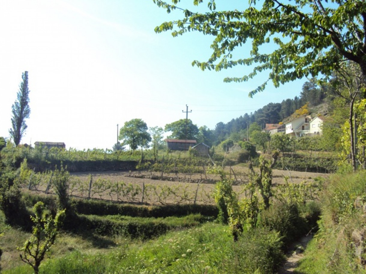 dsc02946jpg