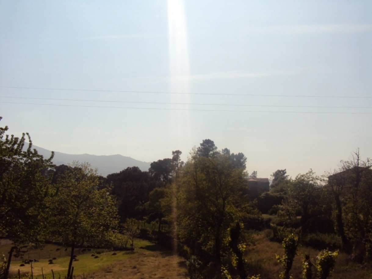 dsc02948jpg