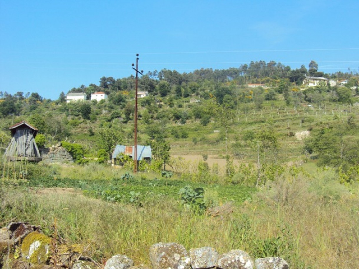 dsc02952jpg