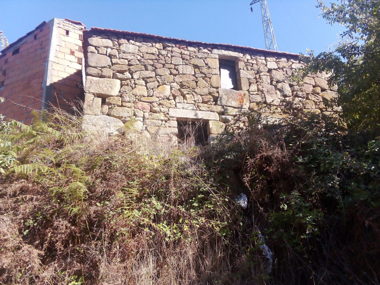 whatsapp-image-2025-10-15-at-094847-3jpeg