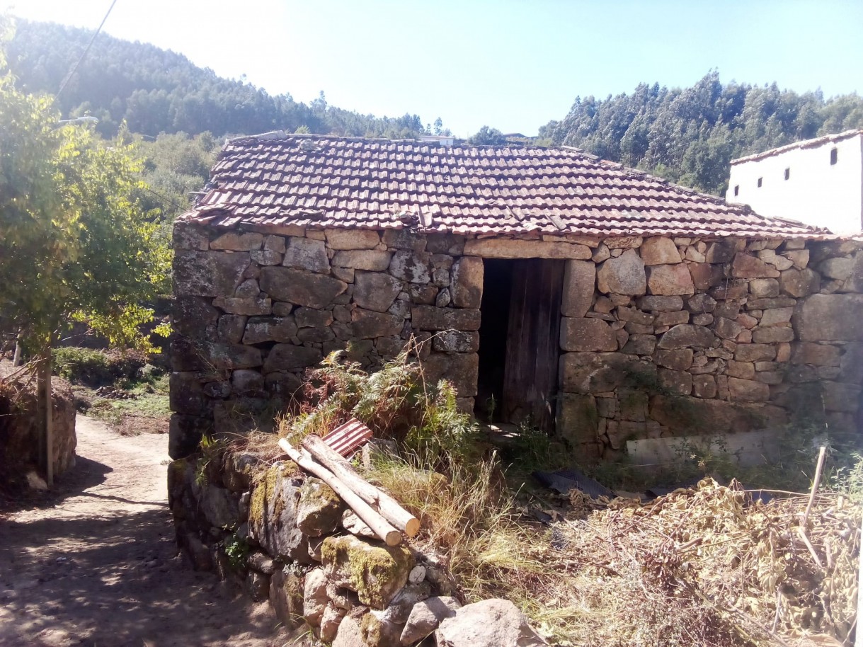 whatsapp-image-2025-10-15-at-094847jpeg