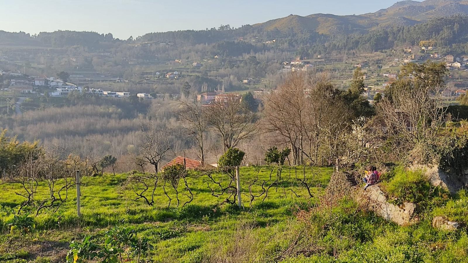 whatsapp-image-2025-10-23-at-175237jpeg