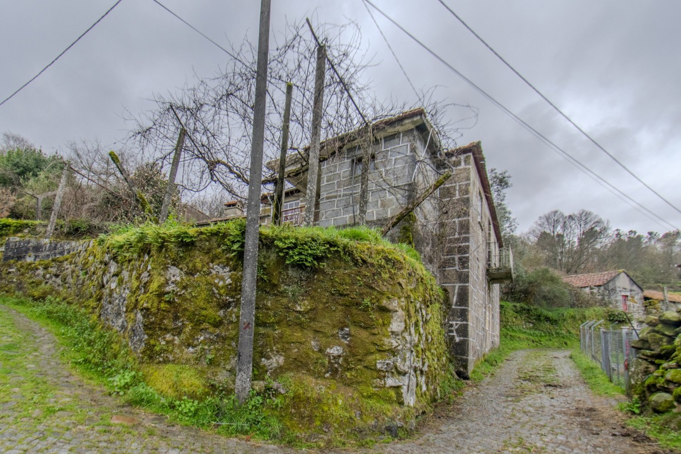 whatsapp-image-2025-11-06-at-142035jpeg