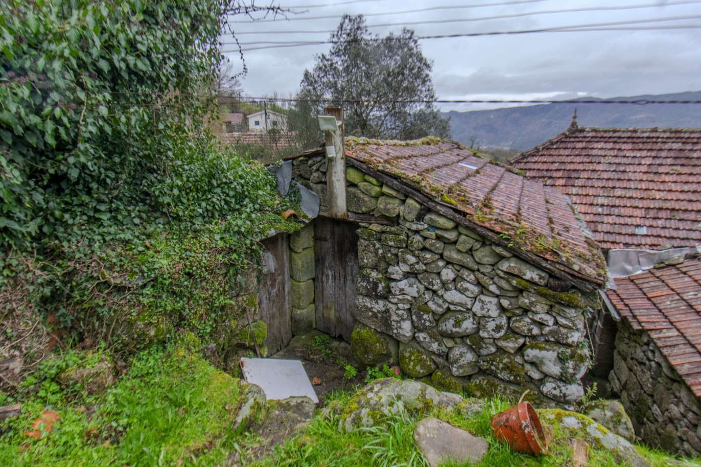 whatsapp-image-2025-11-06-at-142037jpeg