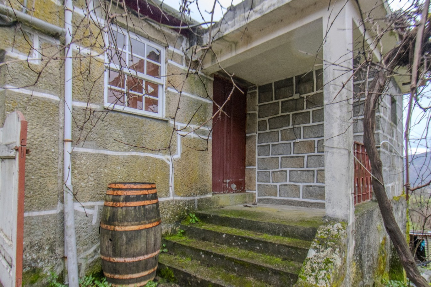 whatsapp-image-2025-11-06-at-142039jpeg