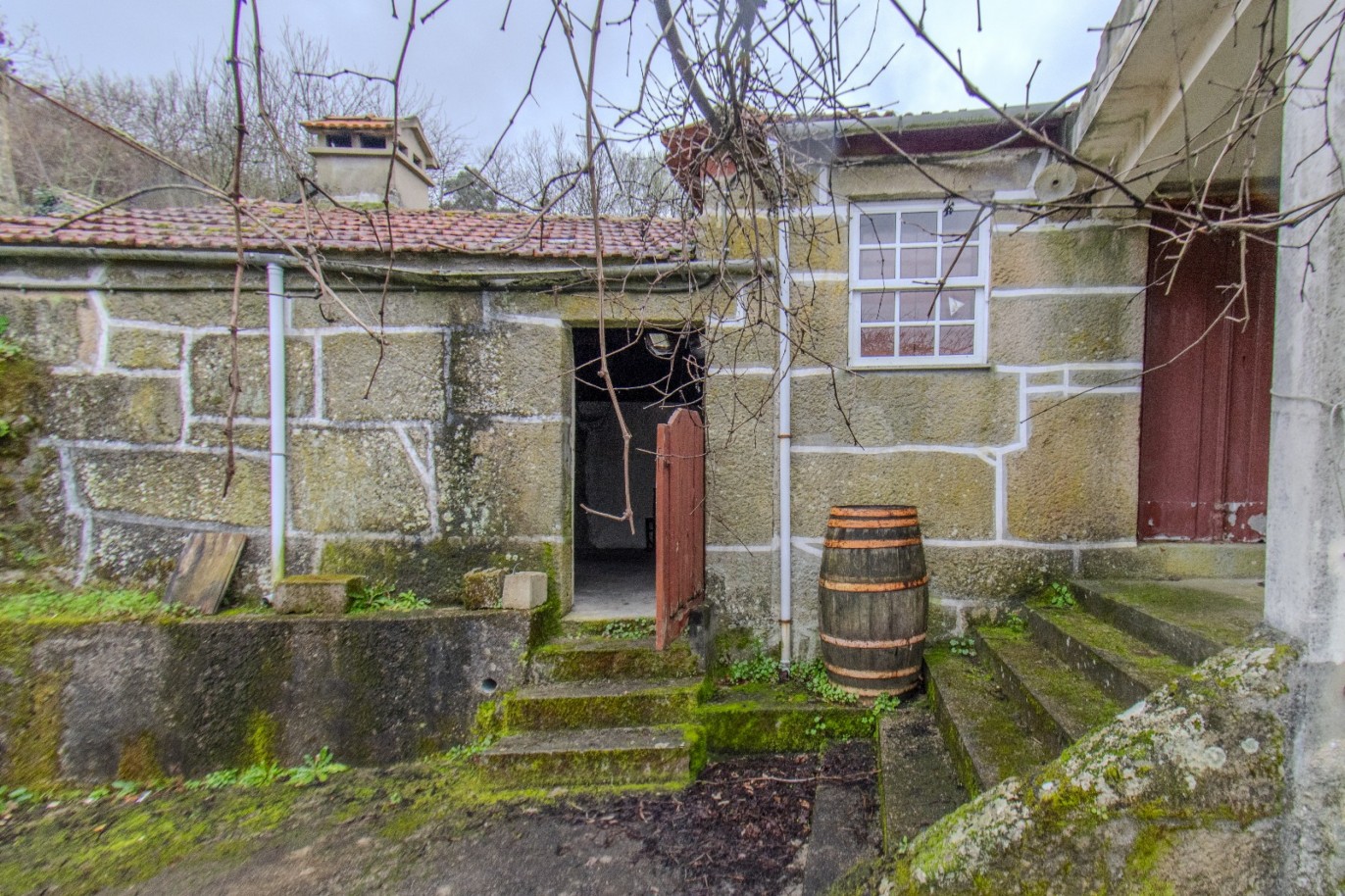 whatsapp-image-2025-11-06-at-142044jpeg