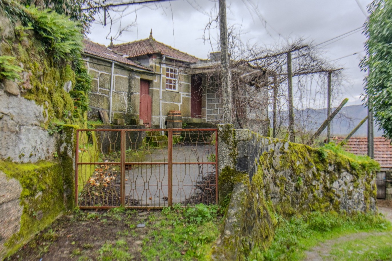 whatsapp-image-2025-11-06-at-142045jpeg