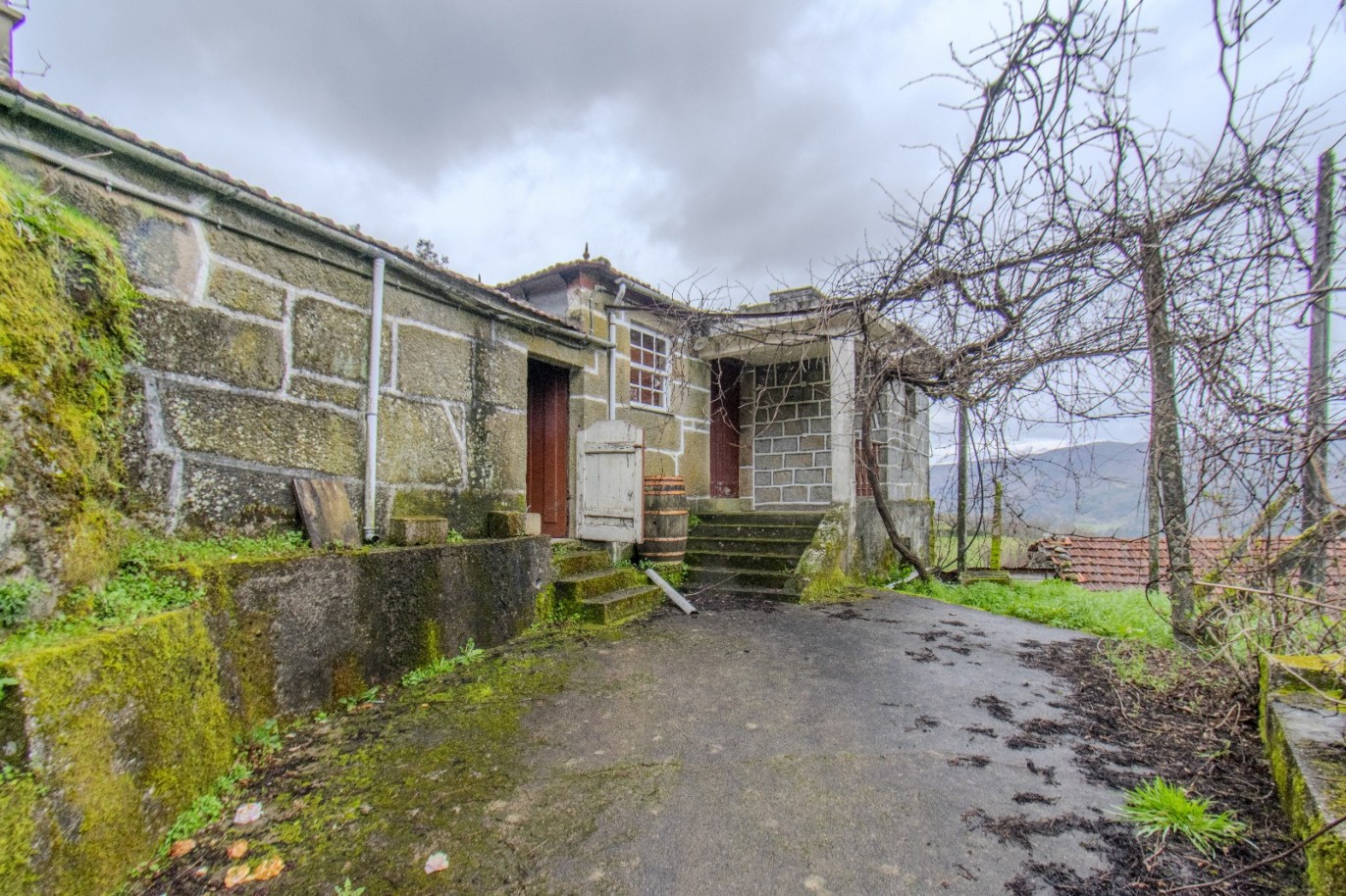 whatsapp-image-2025-11-06-at-142047jpeg