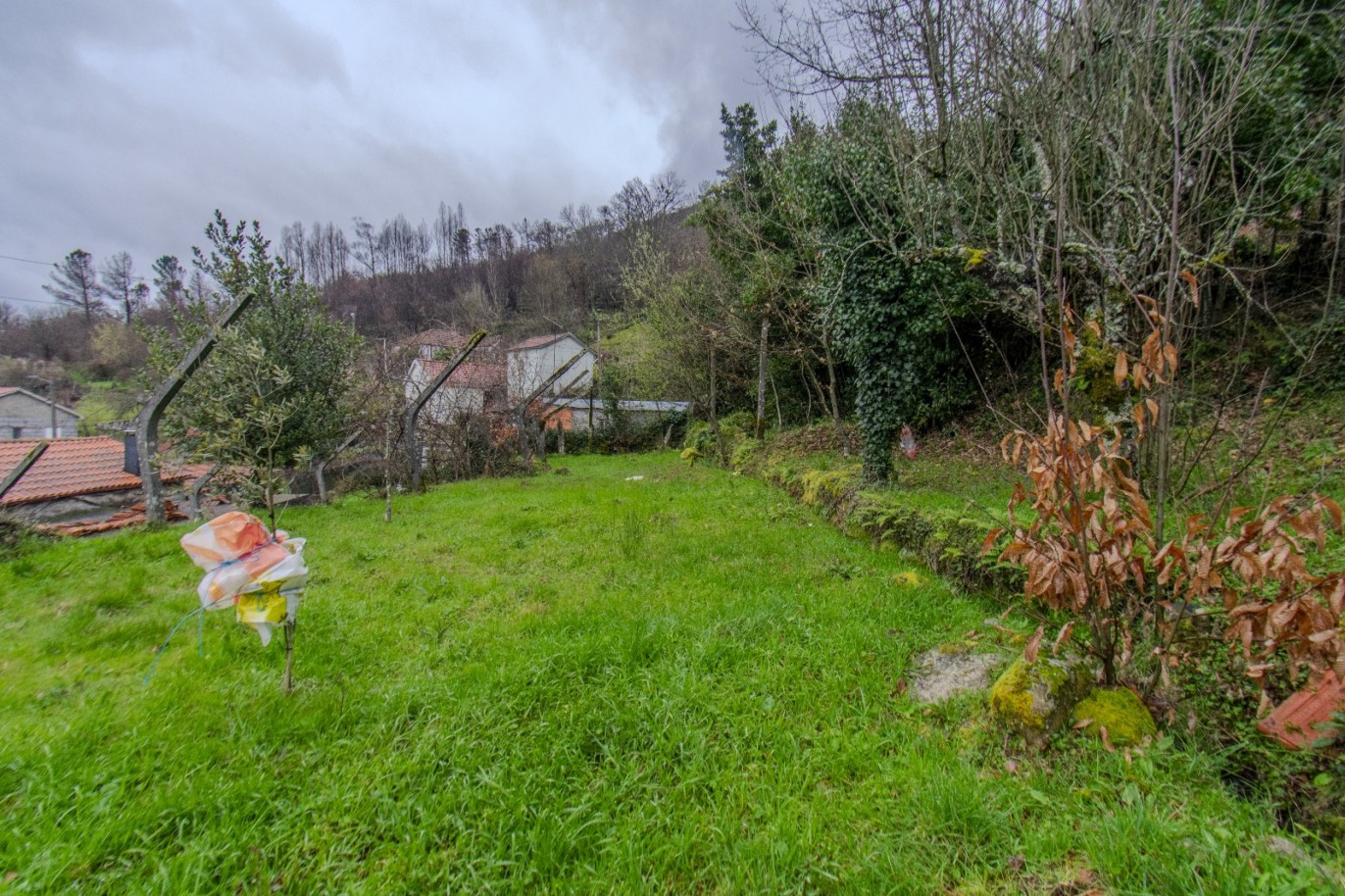 whatsapp-image-2025-11-06-at-142049jpeg