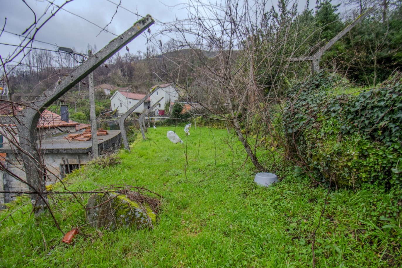 whatsapp-image-2025-11-06-at-142054jpeg