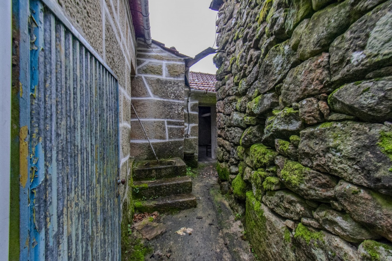 whatsapp-image-2025-11-06-at-142052jpeg