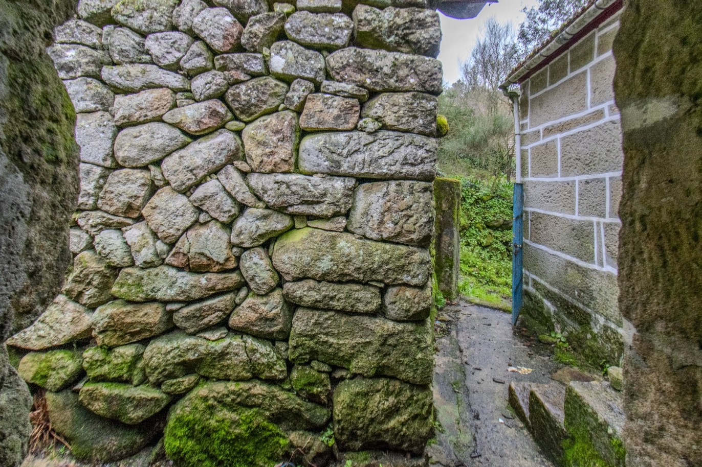 whatsapp-image-2025-11-06-at-142058jpeg