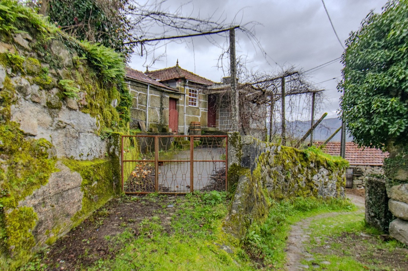 whatsapp-image-2025-11-06-at-142100jpeg