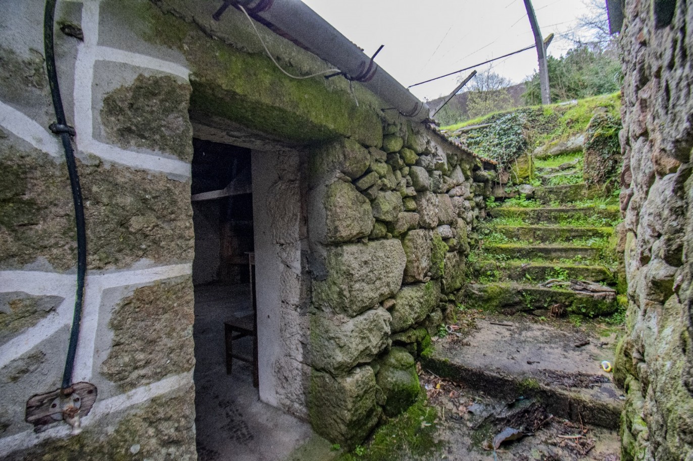 whatsapp-image-2025-11-06-at-142102jpeg