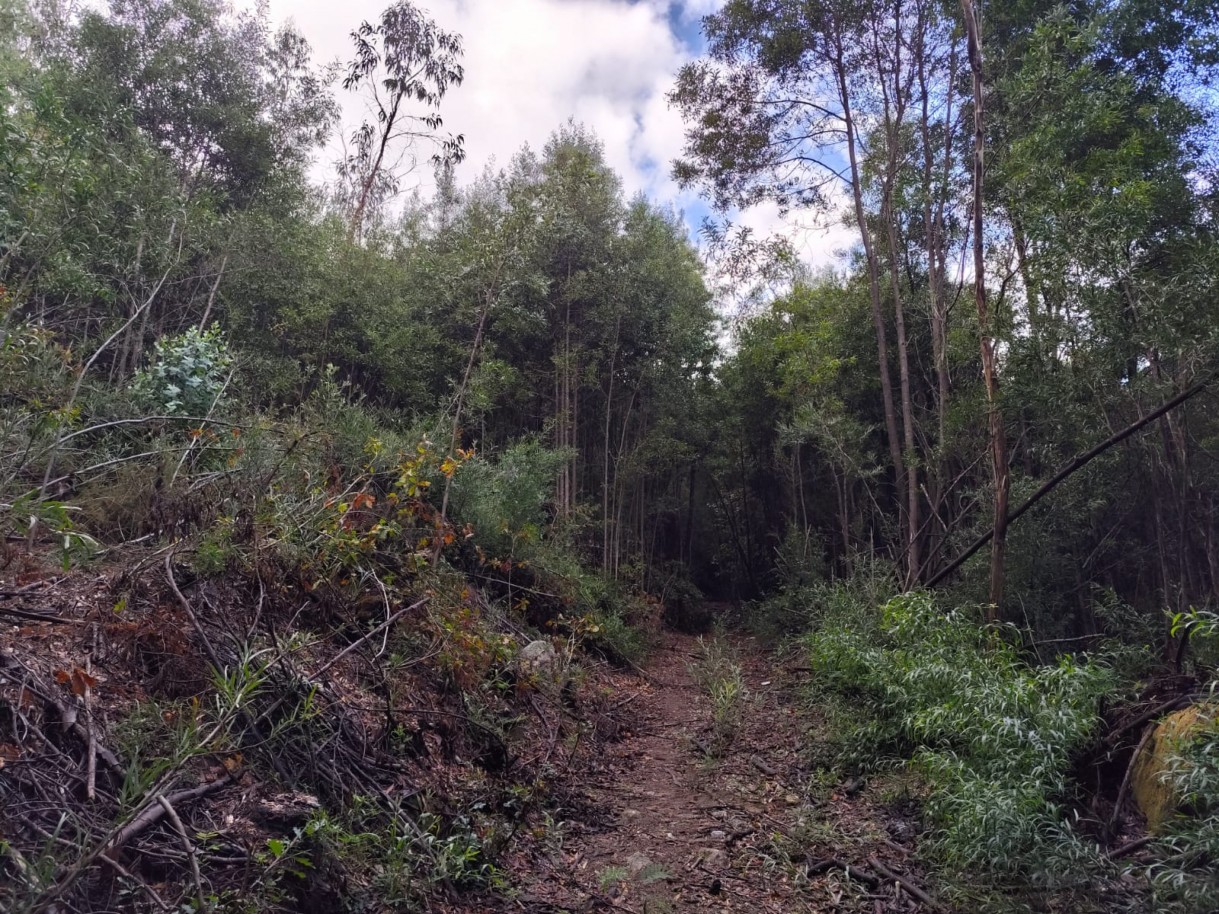 whatsapp-image-2025-11-10-at-114147jpeg