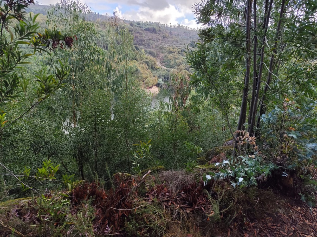 whatsapp-image-2025-11-10-at-114152-1jpeg