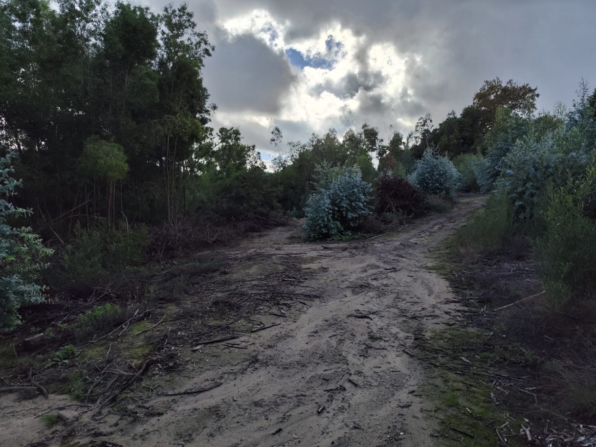 whatsapp-image-2025-11-10-at-114154-1jpeg