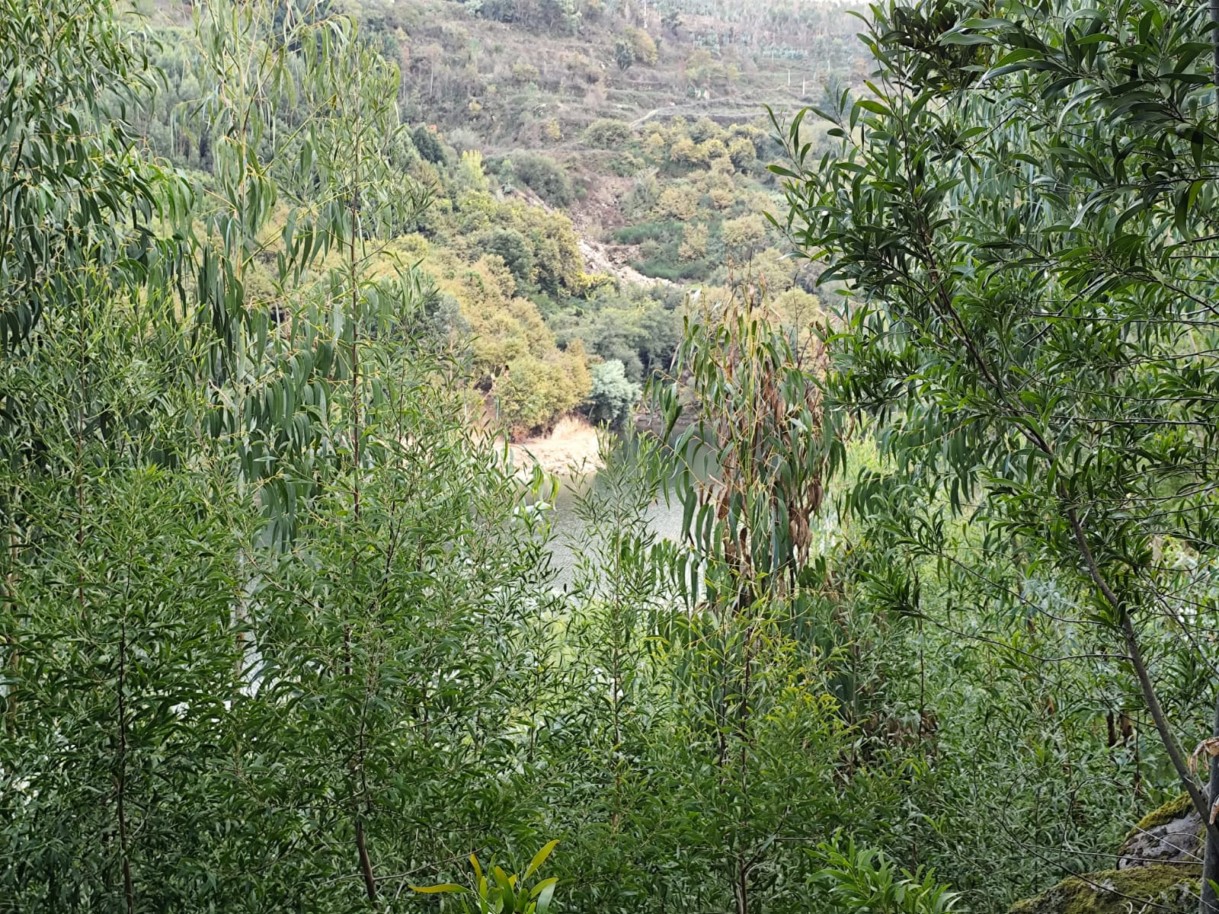 whatsapp-image-2025-11-10-at-114152jpeg