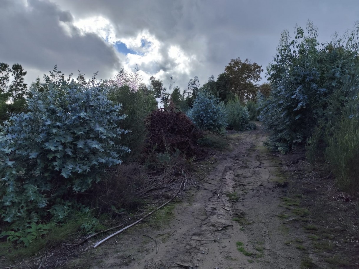 whatsapp-image-2025-11-10-at-114154-2jpeg