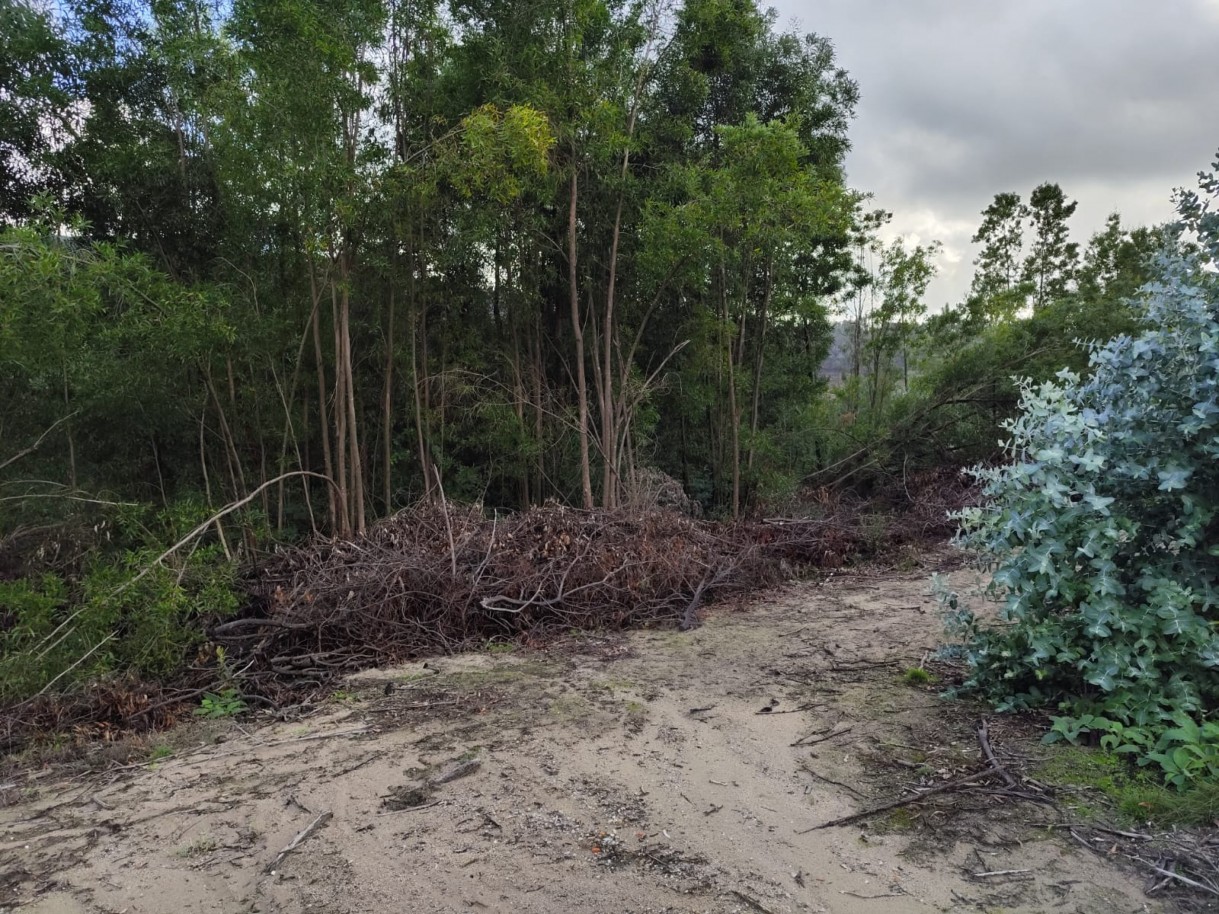 whatsapp-image-2025-11-10-at-114154-3jpeg