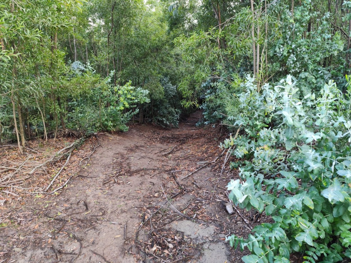 whatsapp-image-2025-11-10-at-114154jpeg