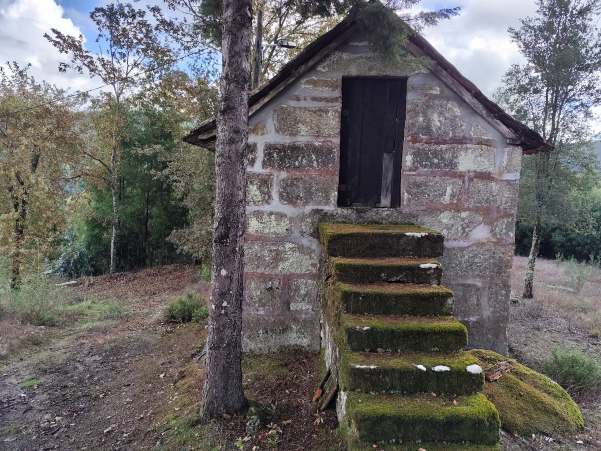 whatsapp-image-2025-11-10-at-114155-2jpeg