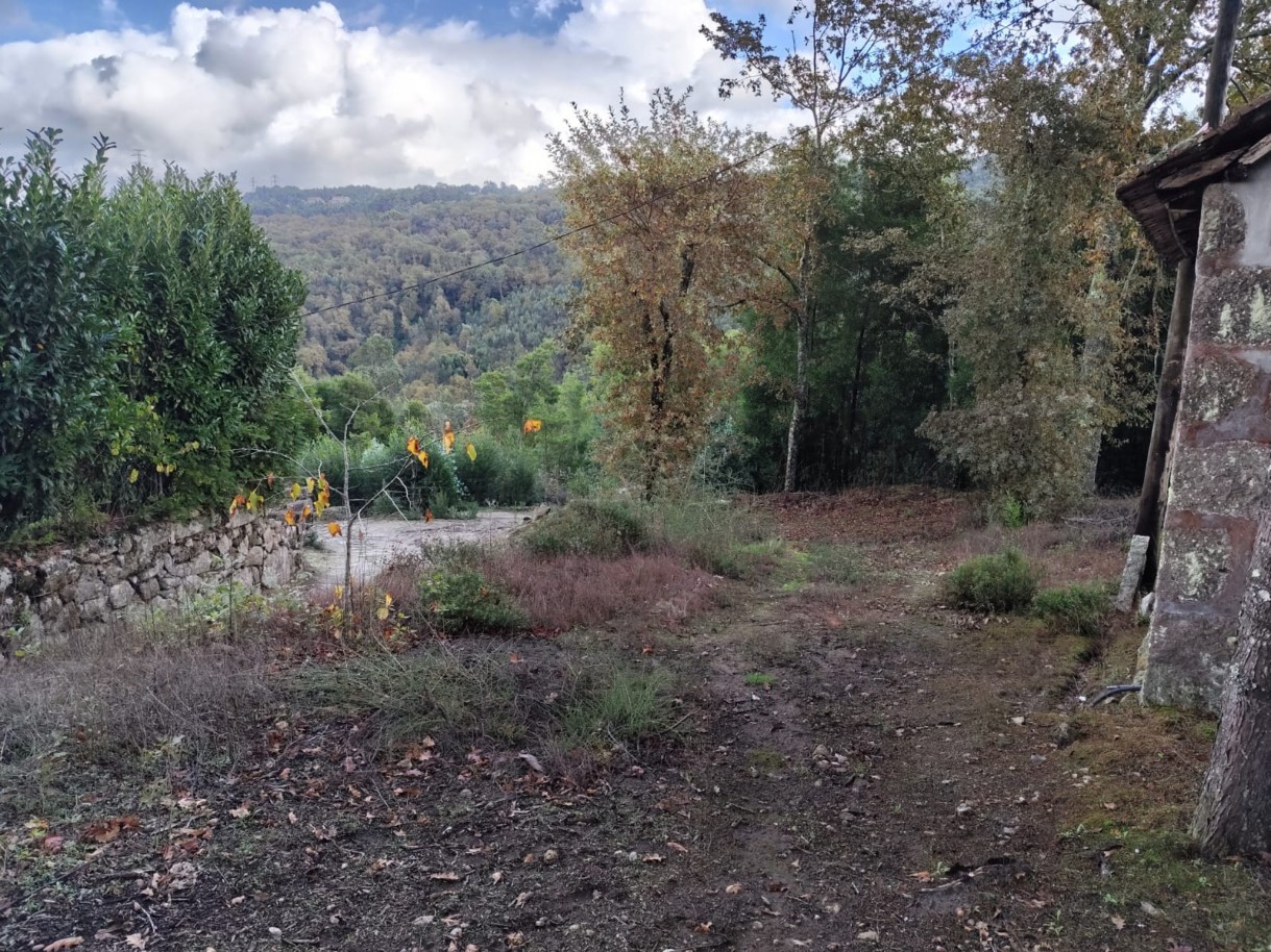 whatsapp-image-2025-11-10-at-114155-1jpeg