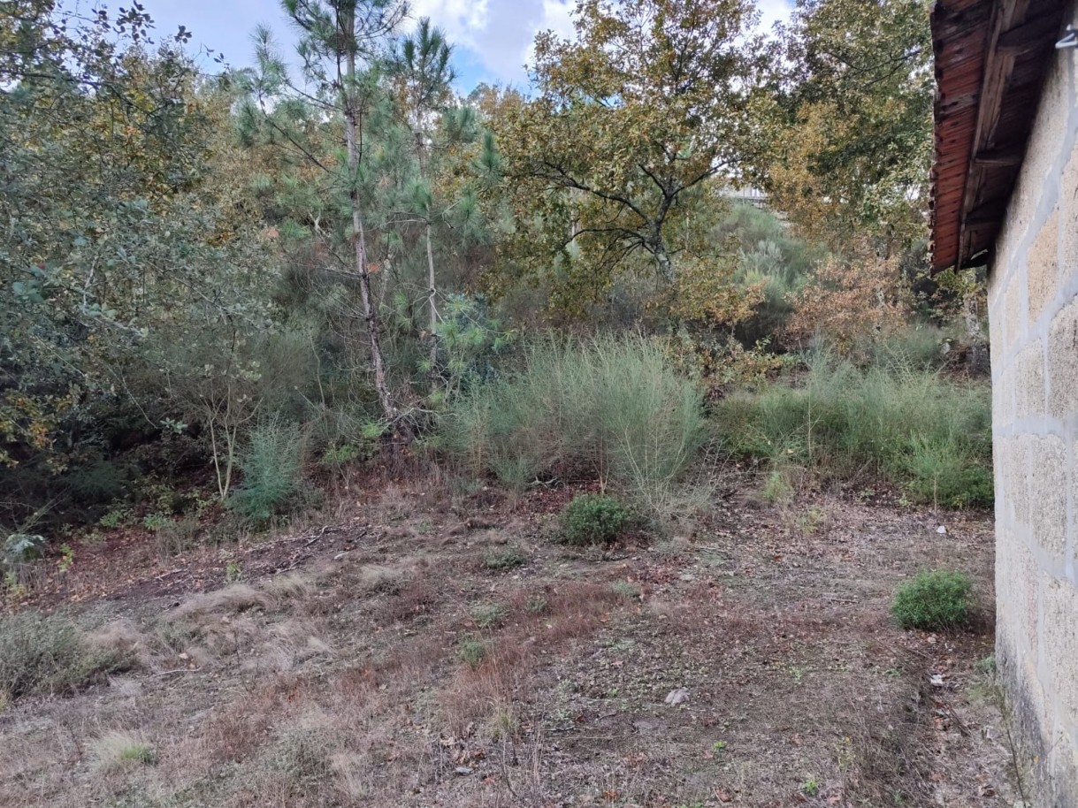 whatsapp-image-2025-11-10-at-114155-4jpeg