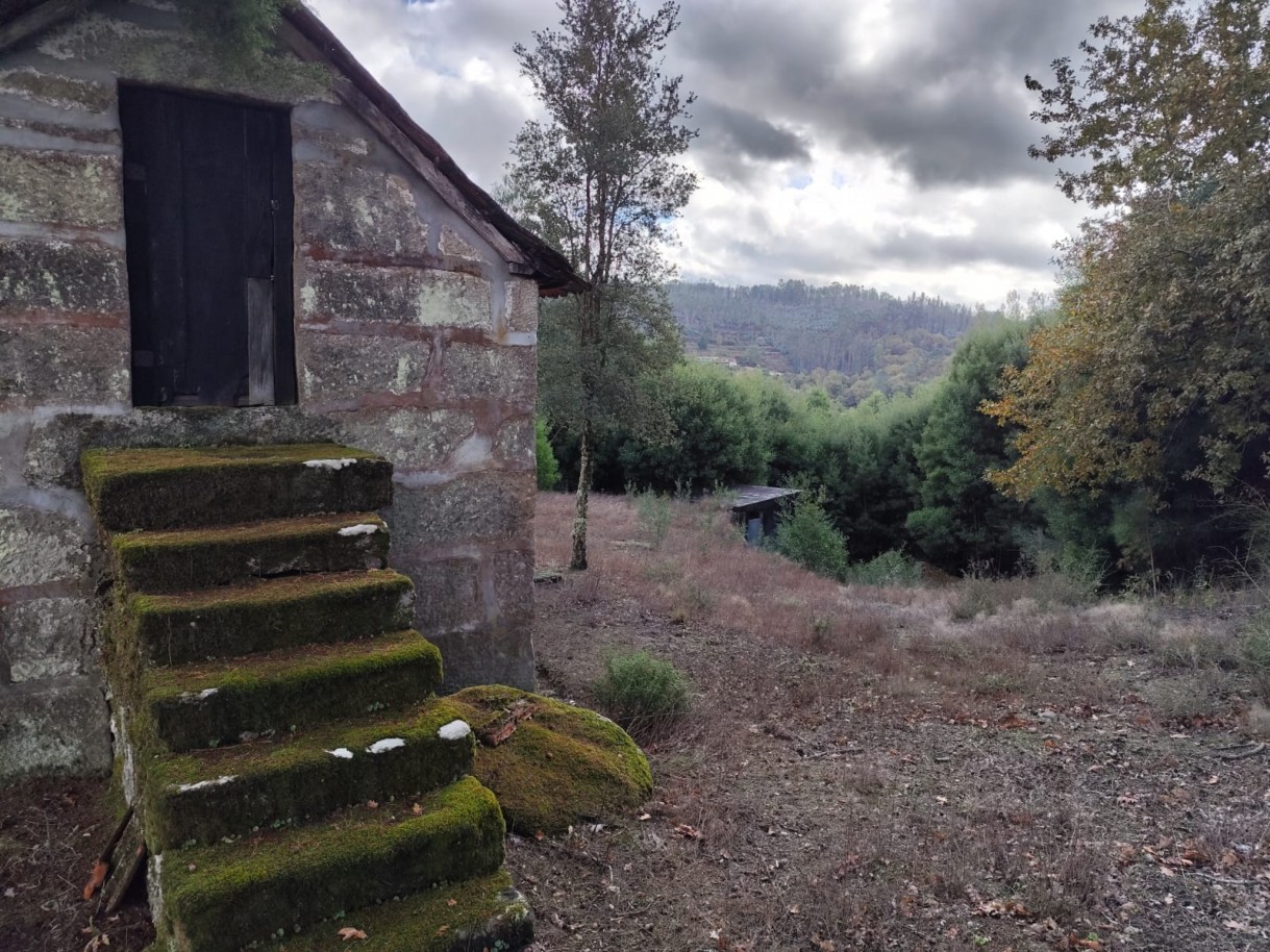 whatsapp-image-2025-11-10-at-114155-3jpeg