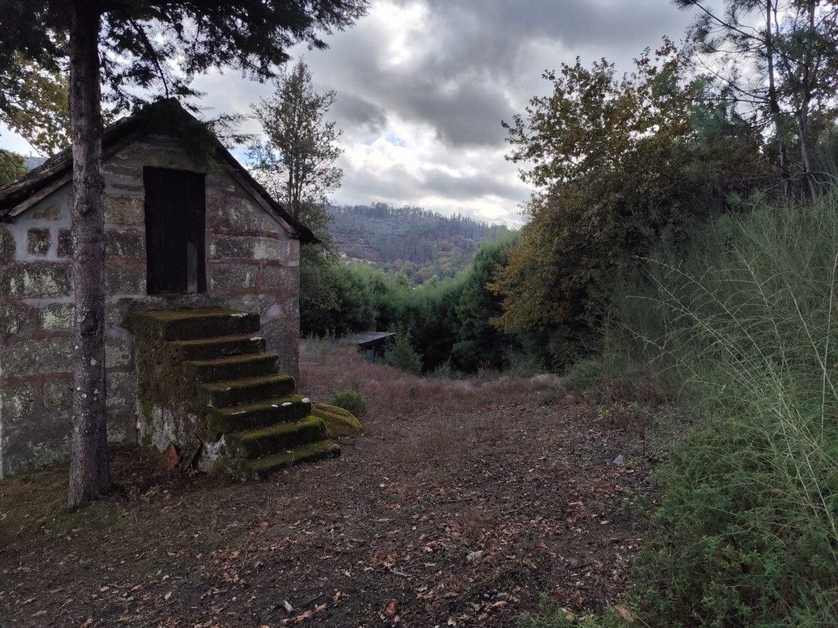 whatsapp-image-2025-11-10-at-114155jpeg