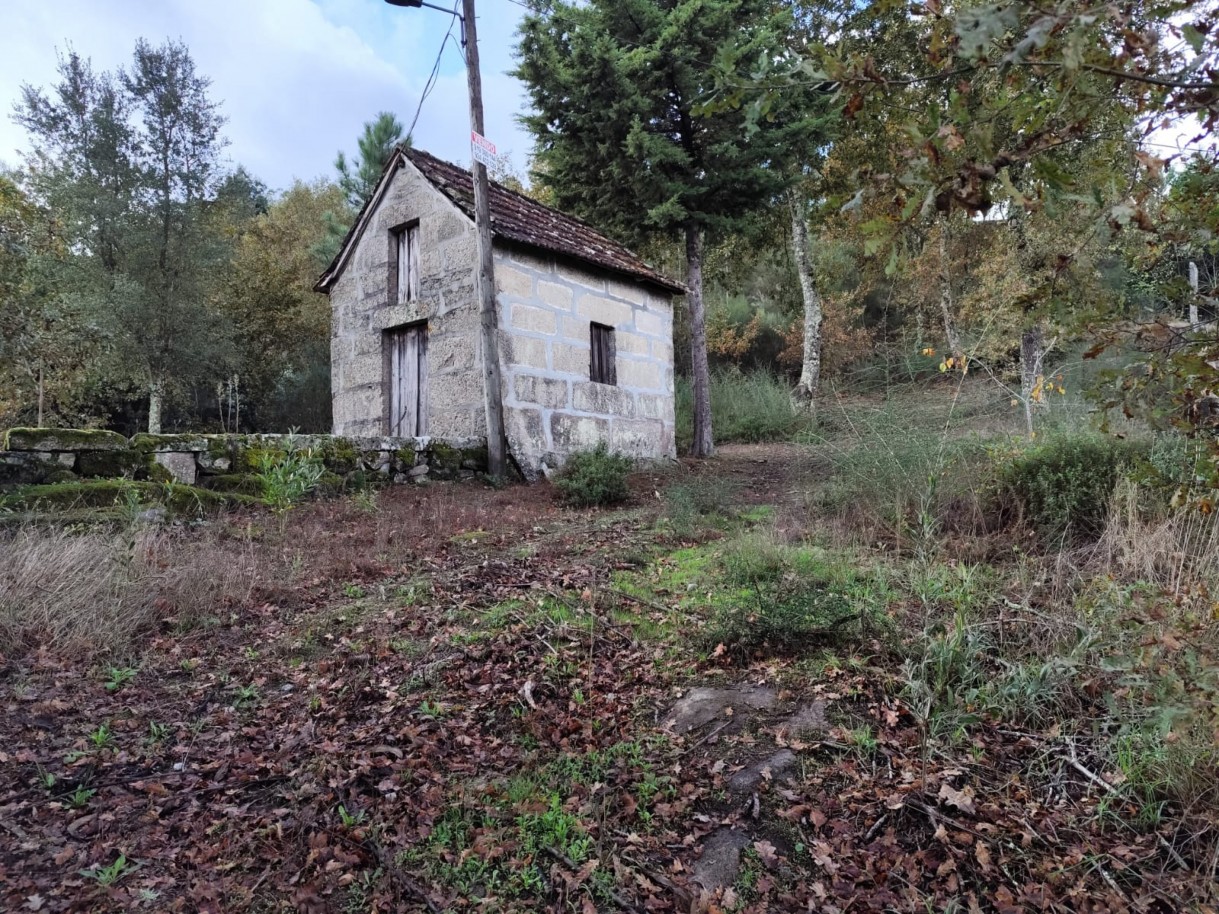 whatsapp-image-2025-11-10-at-114156-2jpeg