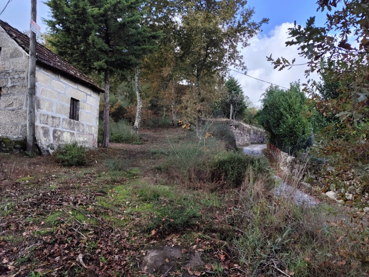 whatsapp-image-2025-11-10-at-114156-1jpeg