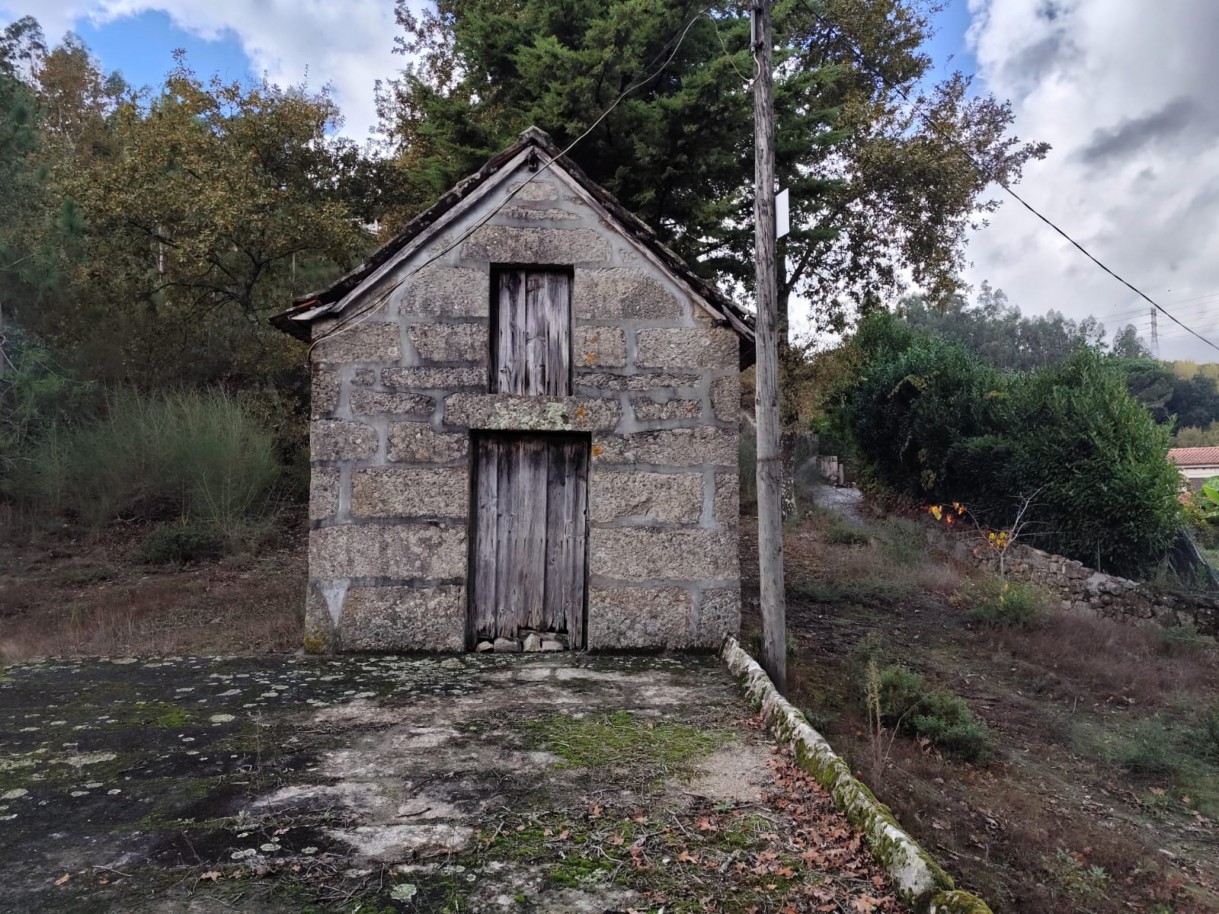 whatsapp-image-2025-11-10-at-114156jpeg